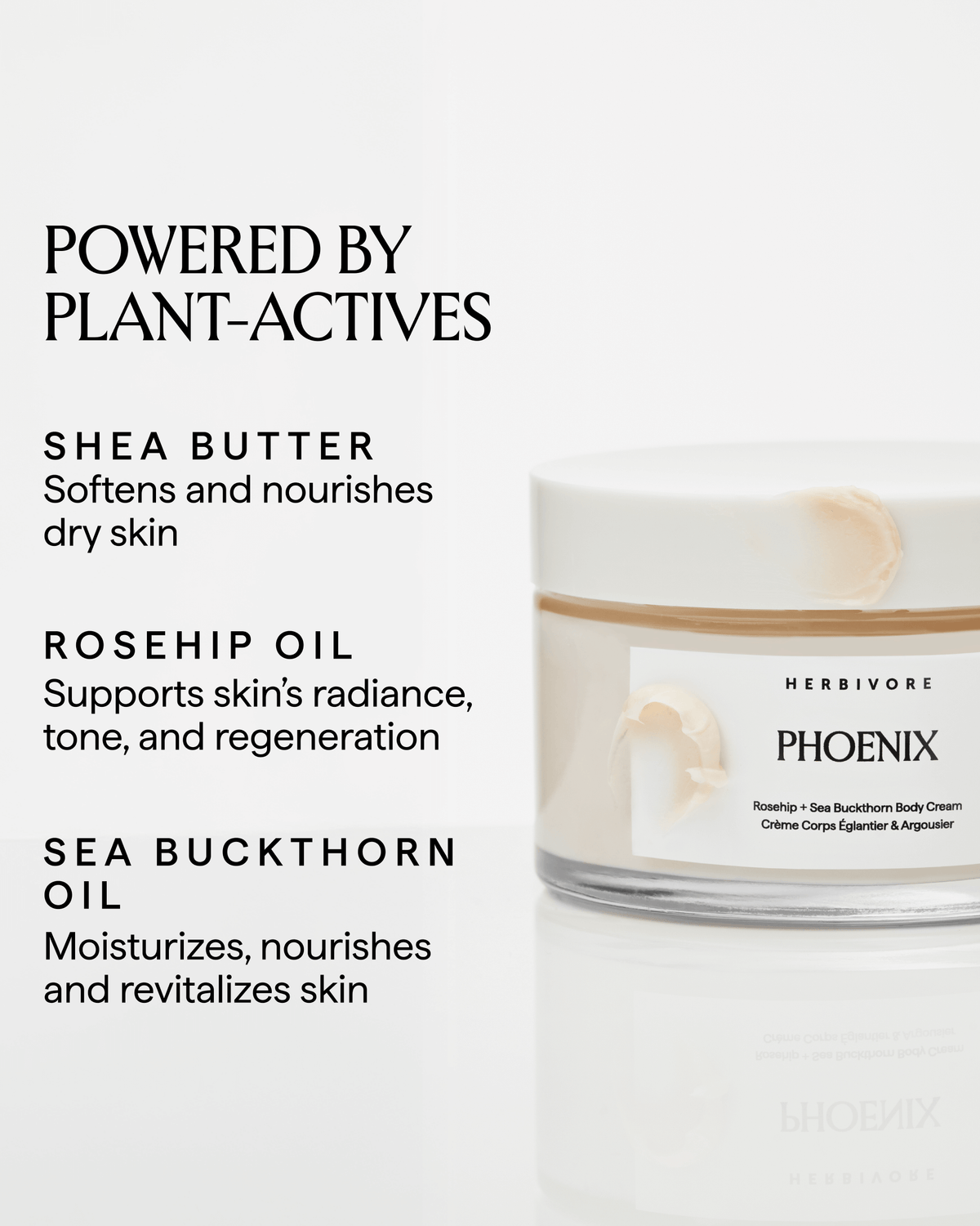 PHOENIX Rosehip + Sea Buckthorn Body Cream